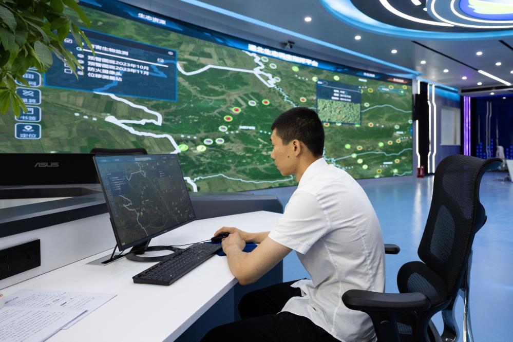 改革故事丨从“一木独大”到“三绿并举” 改革故事丨从“一木独大”到“三绿并举”