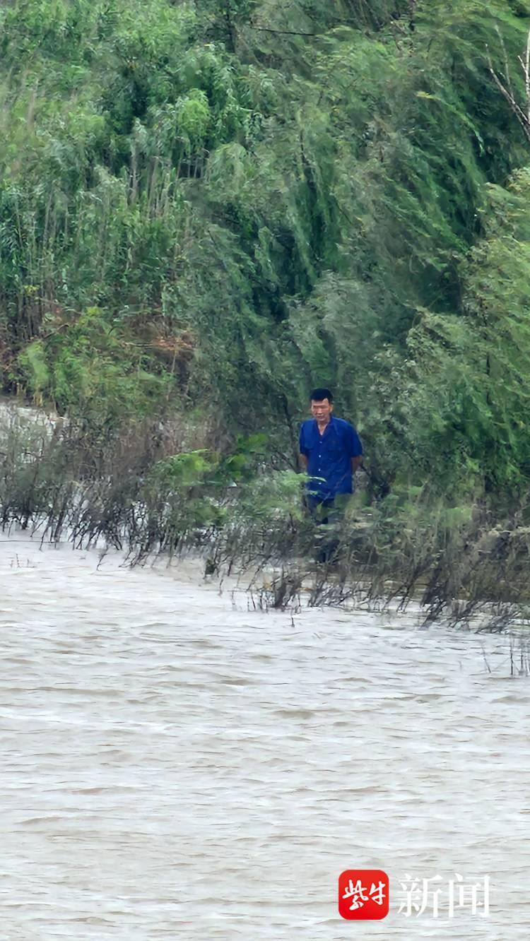 风大浪急!三男子长江芦苇荡里偷捕被抓 风大浪急!三男子长江芦苇荡里偷捕被抓