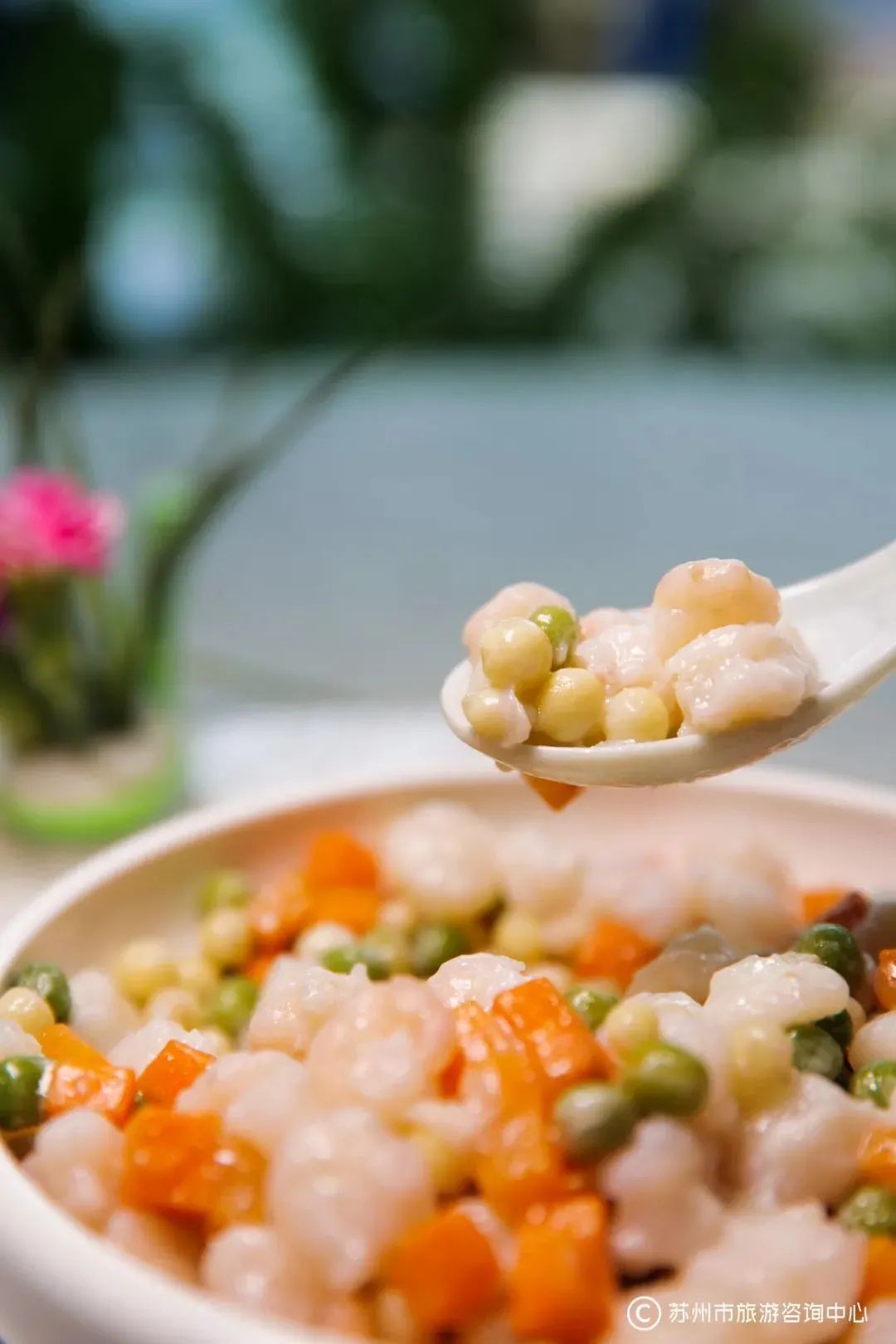 苏州人的“掌上明珠”上市！今年价格…