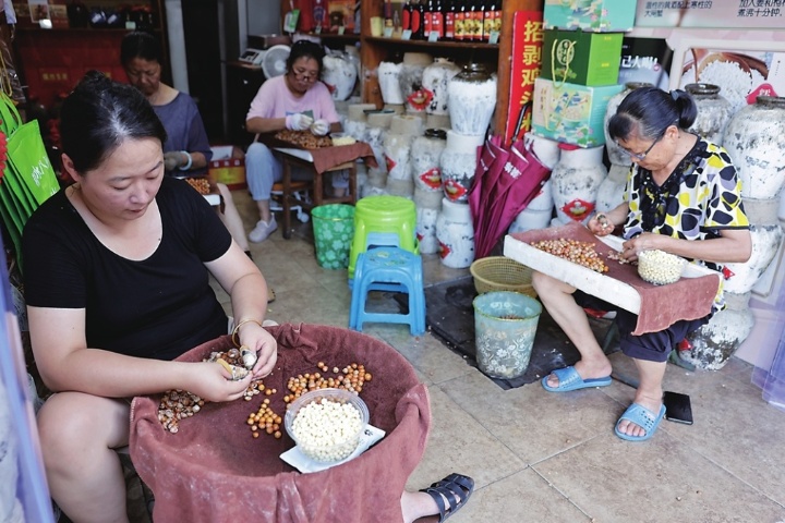 苏州地产鸡头米开摘上市！价格跟去年持平