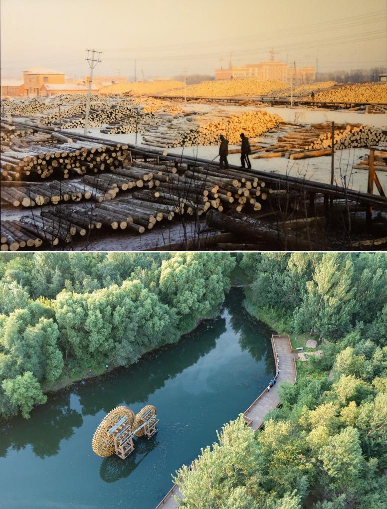 改革故事丨从“一木独大”到“三绿并举” 改革故事丨从“一木独大”到“三绿并举”