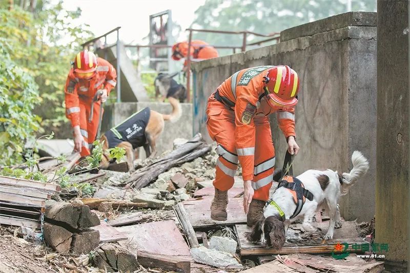 赴汤蹈火,向险逆行!探析奋战在抢险救灾前线的工程救援兵能力之源 赴汤蹈火,向险逆行!探析奋战在抢险救灾前线的工程救援兵能力之源