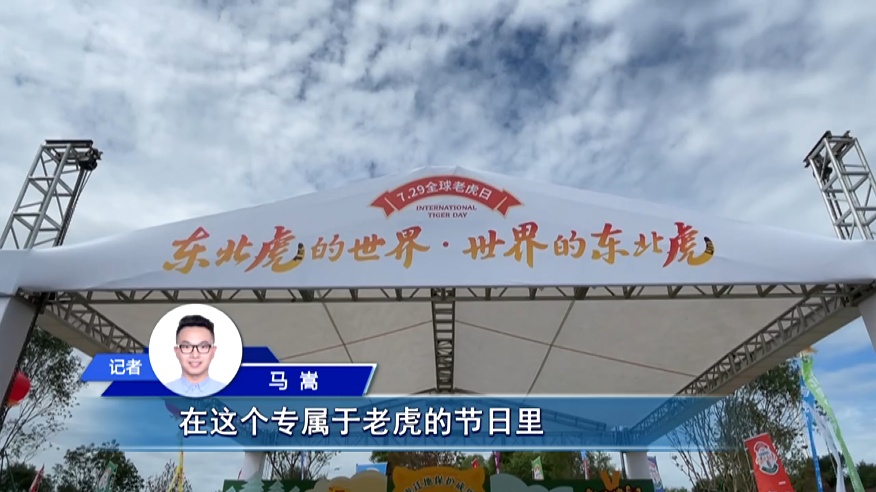 “真身”在此！亚冬会吉祥物“滨滨”“妮妮”原型长大了