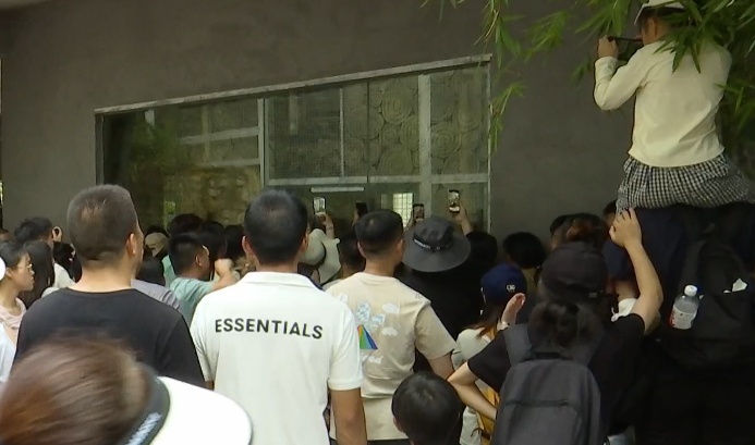 抬眼、噘嘴...每个动作都是表情包!贵阳这只爱凹造型的“猴哥”迷倒一众游客 抬眼、噘嘴...每个动作都是表情包!贵阳这只爱凹造型的“猴哥”迷倒一众游客