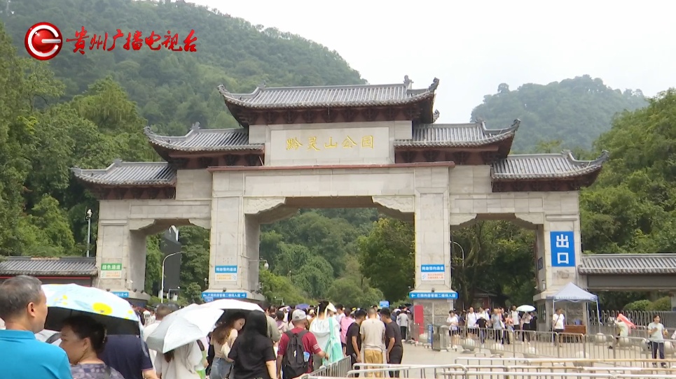 抬眼、噘嘴...每个动作都是表情包!贵阳这只爱凹造型的“猴哥”迷倒一众游客 抬眼、噘嘴...每个动作都是表情包!贵阳这只爱凹造型的“猴哥”迷倒一众游客