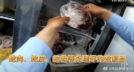 上海一餐饮店被查出65条活蛇 店家涉嫌构成刑事犯罪