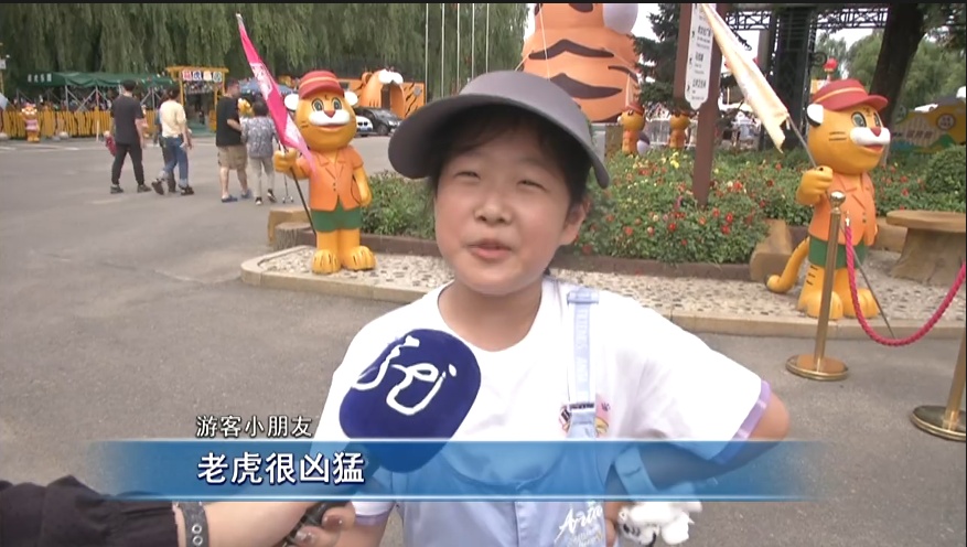 “真身”在此！亚冬会吉祥物“滨滨”“妮妮”原型长大了