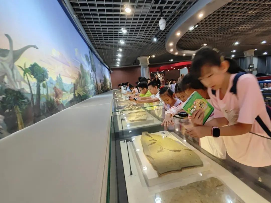 科协动态 | 探寻自然奥秘 感知生命脉动——椿树馆社区青少年“行走课堂”系列活动之走进自然博物馆 科协动态 | 探寻自然奥秘 感知生命脉动——椿树馆社区青少年“行走课堂”系列活动之走进自然博物馆