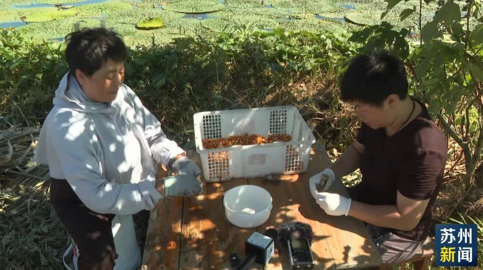 苏州人的“掌上明珠”上市！今年价格…