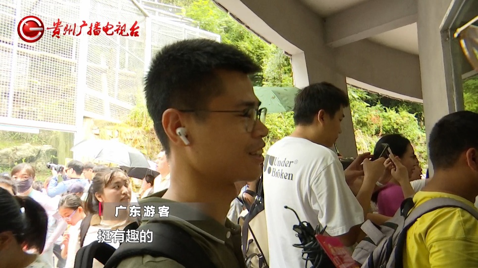 抬眼、噘嘴...每个动作都是表情包!贵阳这只爱凹造型的“猴哥”迷倒一众游客 抬眼、噘嘴...每个动作都是表情包!贵阳这只爱凹造型的“猴哥”迷倒一众游客