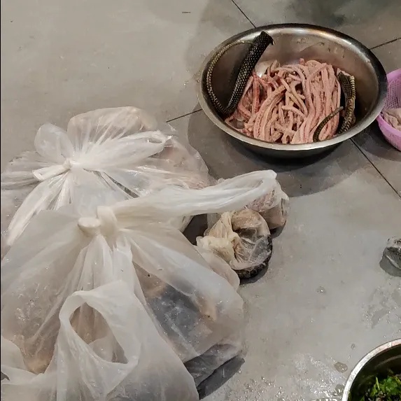 上海一餐饮店被举报:卖蛇肉!执法人员查获活蛇,数量惊人,吓到尖叫 上海一餐饮店被举报:卖蛇肉!执法人员查获活蛇,数量惊人,吓到尖叫