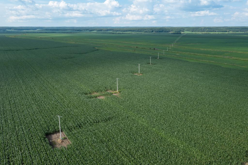 改革故事丨从“一木独大”到“三绿并举” 改革故事丨从“一木独大”到“三绿并举”