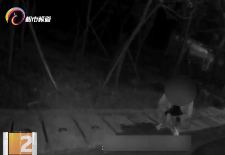 小心，别拿药酒不当酒！还有这些酒驾误区要知道……