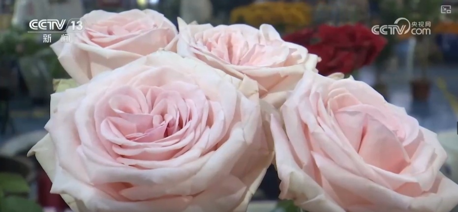 夏日消费市场文化掀“热潮”、文旅频“加热”、交易再“升温”