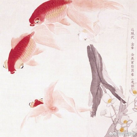 古画中清凉一夏 画中的金鱼自带萌感