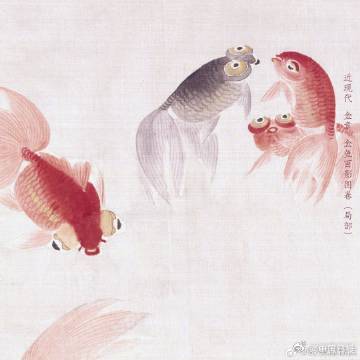 古画中清凉一夏 画中的金鱼自带萌感