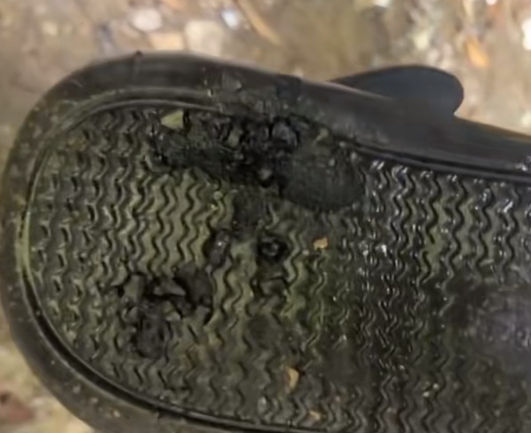 刚吃上一口就炸了!“驴友”户外烧烤突发意外...... 刚吃上一口就炸了!“驴友”户外烧烤突发意外......