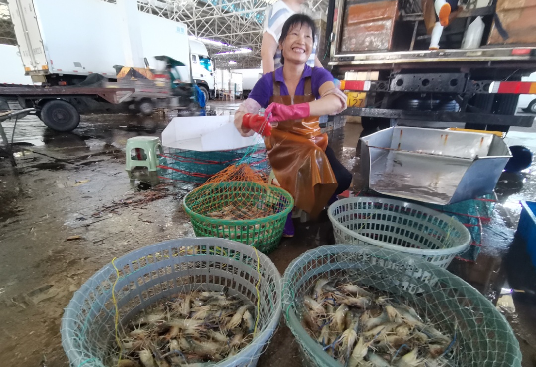 正是肥的时候，每天卖出10万斤！连夜捕捞，到上桌不超过12小时！青岛人根本吃不够→