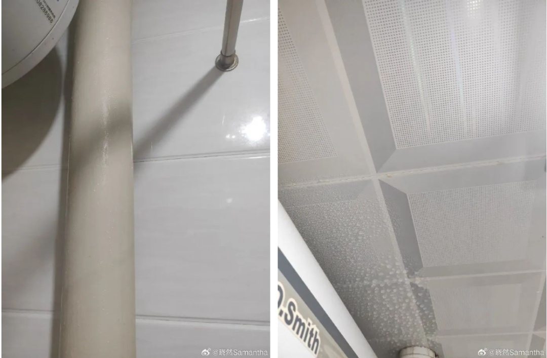 没受过这委屈！沈阳人的评论区“爆”了，就因为开了个窗？