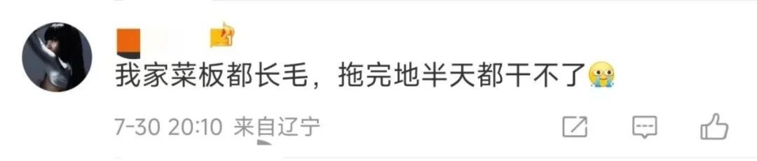 没受过这委屈！沈阳人的评论区“爆”了，就因为开了个窗？