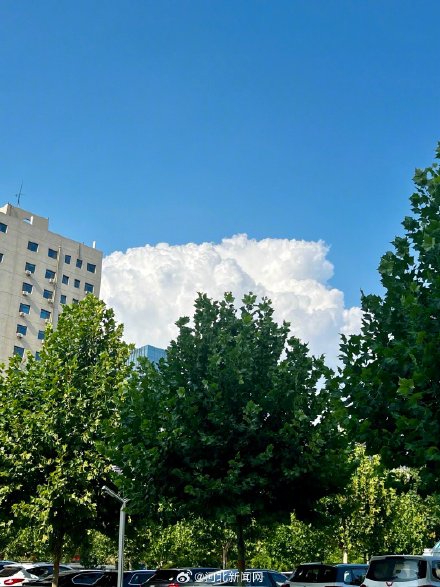快抬头看！石家庄上空现漫画云