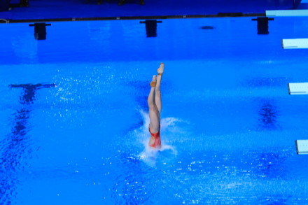 “复制粘贴”断层领先!全红婵陈芋汐金牌 “复制粘贴”断层领先!全红婵陈芋汐金牌