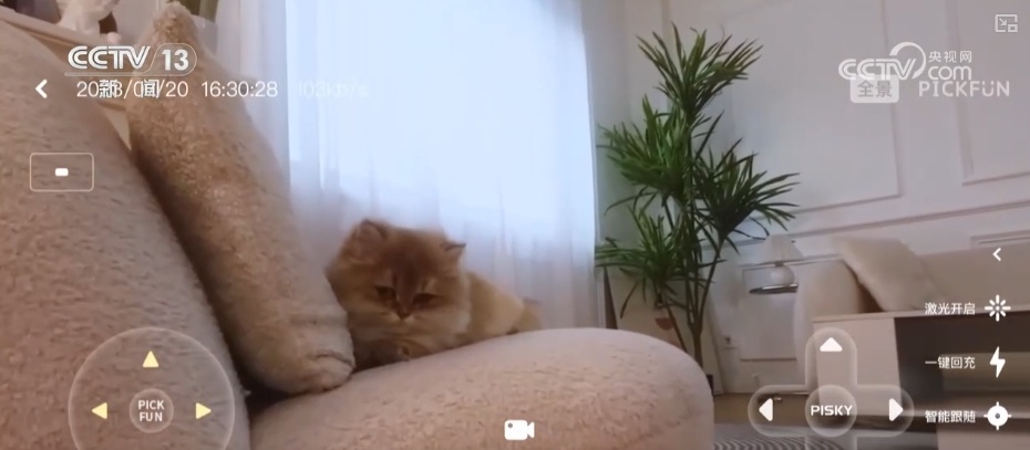 夏日消费市场文化掀“热潮”、文旅频“加热”、交易再“升温”