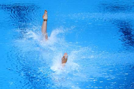 祝贺!全红婵陈芋汐登冠军领奖台 祝贺!全红婵陈芋汐登冠军领奖台