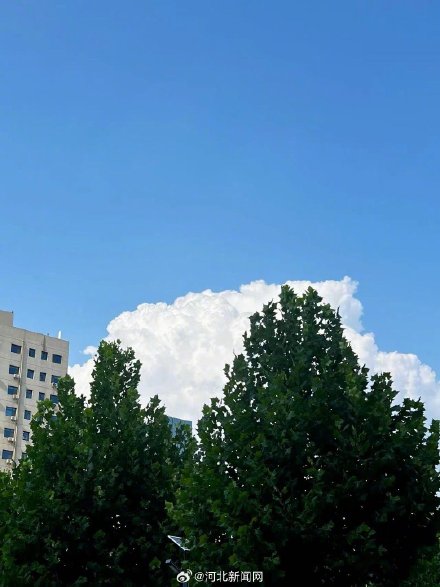 快抬头看！石家庄上空现漫画云