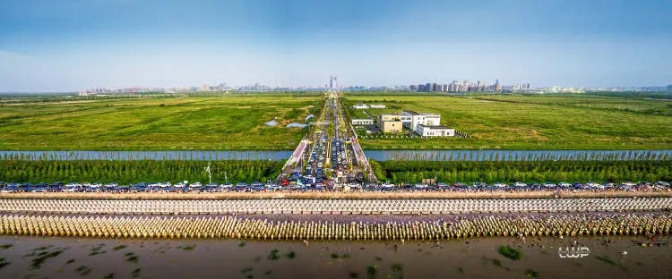 突然火了！为看这一眼，上海大批人通宵等候，数千辆车挤得无法动弹，现场令人吃惊