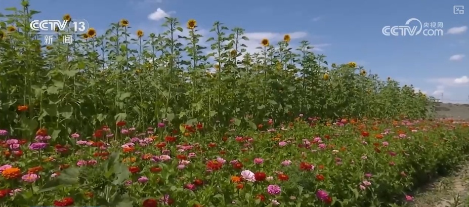 夏日消费市场文化掀“热潮”、文旅频“加热”、交易再“升温”