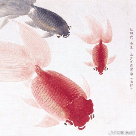 古画中清凉一夏 画中的金鱼自带萌感