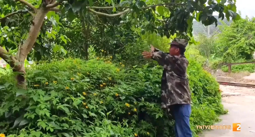 被蛇咬伤可以申请赔偿！这样操作