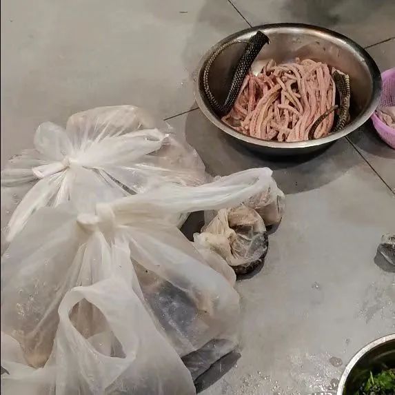 一餐馆查获活蛇65条 一餐馆查获活蛇65条