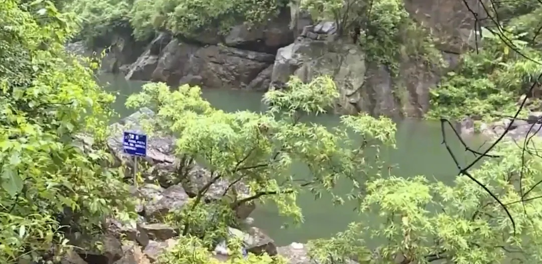 男子野泳时突遭猴子袭击