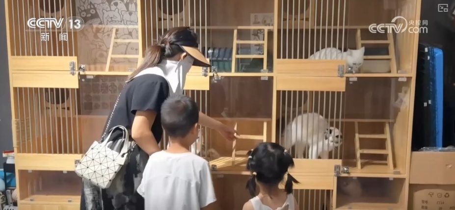 夏日消费市场文化掀“热潮”、文旅频“加热”、交易再“升温”