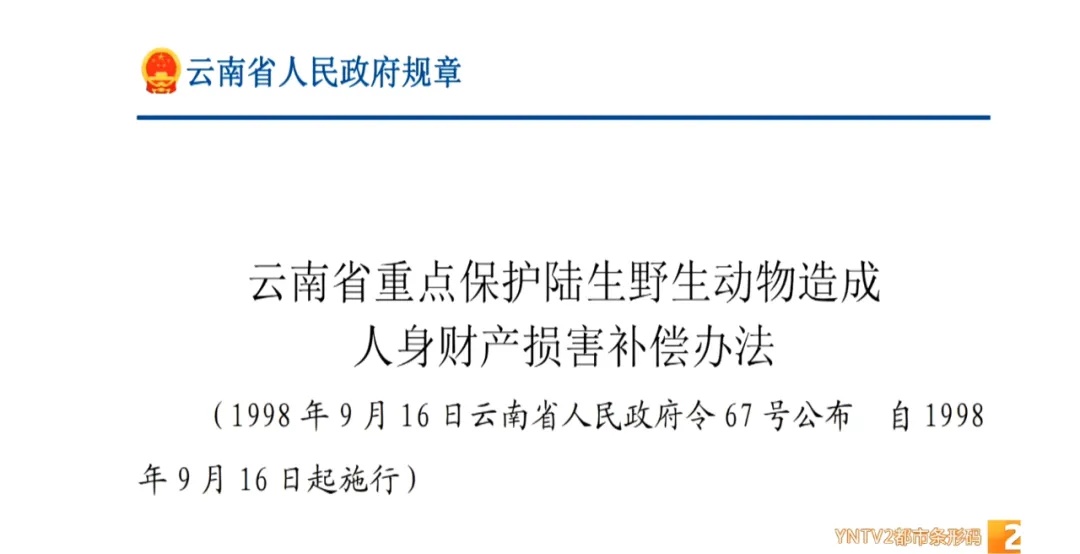 被蛇咬伤可以申请赔偿！这样操作