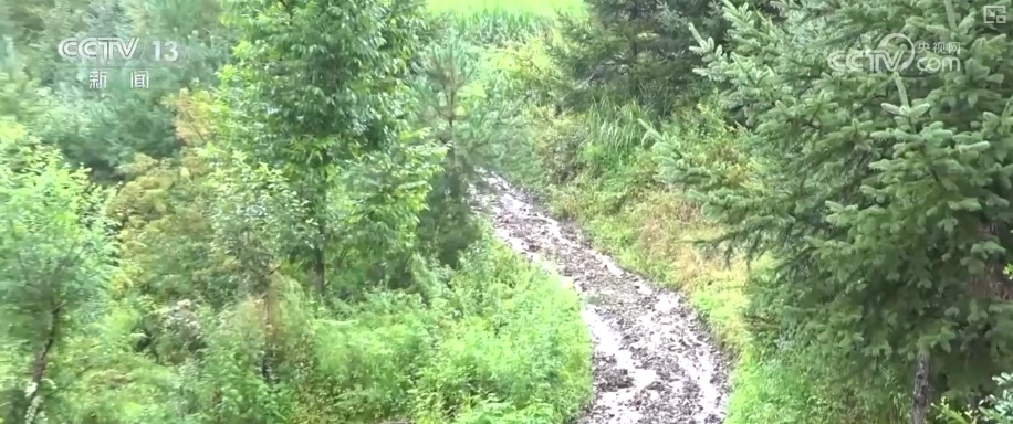 科普→“七下八上”防汛关键期 &nbsp;预知灾害、安全避险