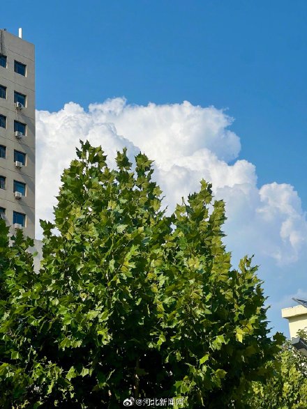 快抬头看！石家庄上空现漫画云