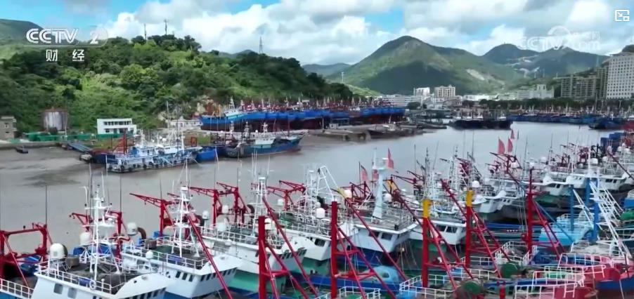 3个月伏季休渔将结束 千余艘渔船等待开渔出海 3个月伏季休渔将结束 千余艘渔船等待开渔出海