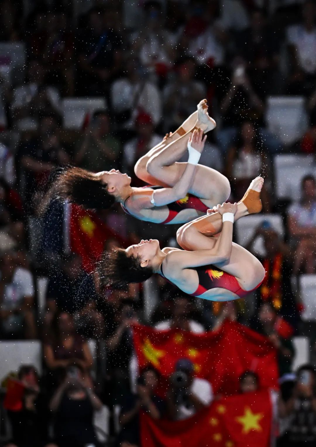 第7金!广东选手全红婵搭档陈芋汐夺女子双人10米跳台冠军 第7金!广东选手全红婵搭档陈芋汐夺女子双人10米跳台冠军