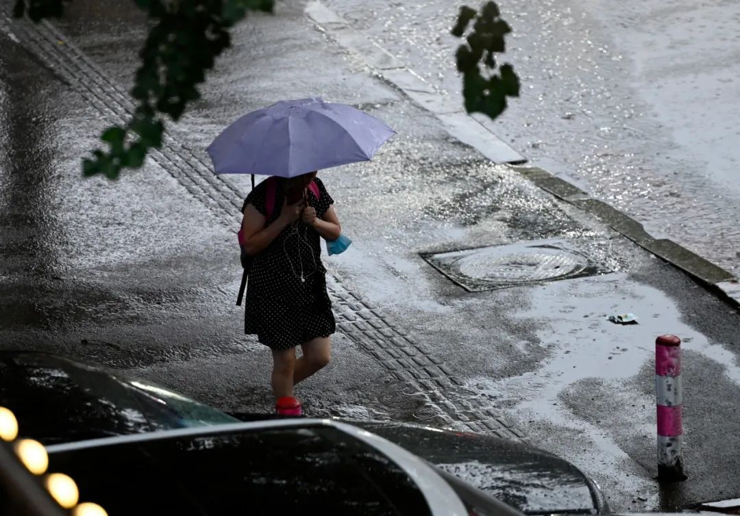 注意！大雨、局部暴雨、雷暴大风要来了！沈阳城区主要降水时段为……