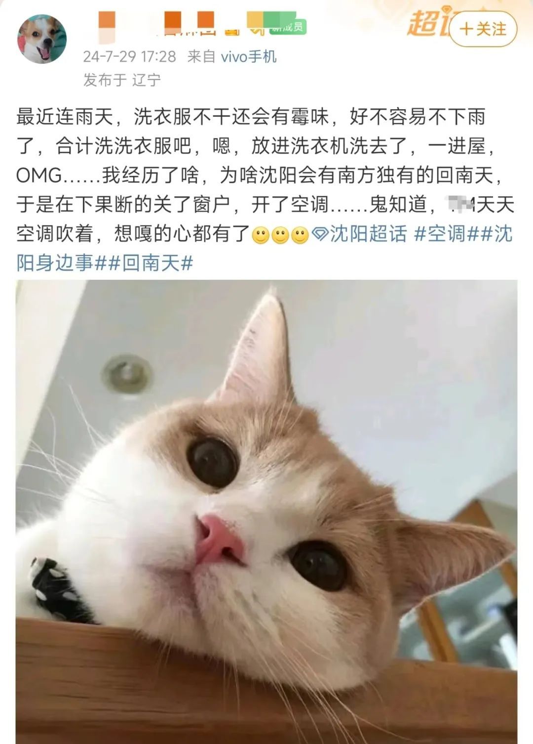 没受过这委屈！沈阳人的评论区“爆”了，就因为开了个窗？