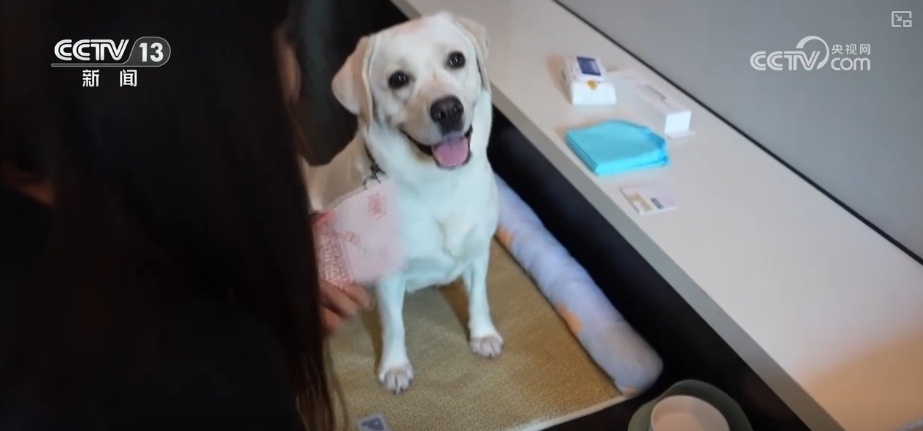 夏日消费市场文化掀“热潮”、文旅频“加热”、交易再“升温”