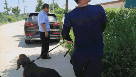 汪汪队又又又又立大功啦 汪汪队又又又又立大功啦