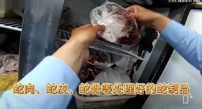 一餐馆查获活蛇65条 一餐馆查获活蛇65条