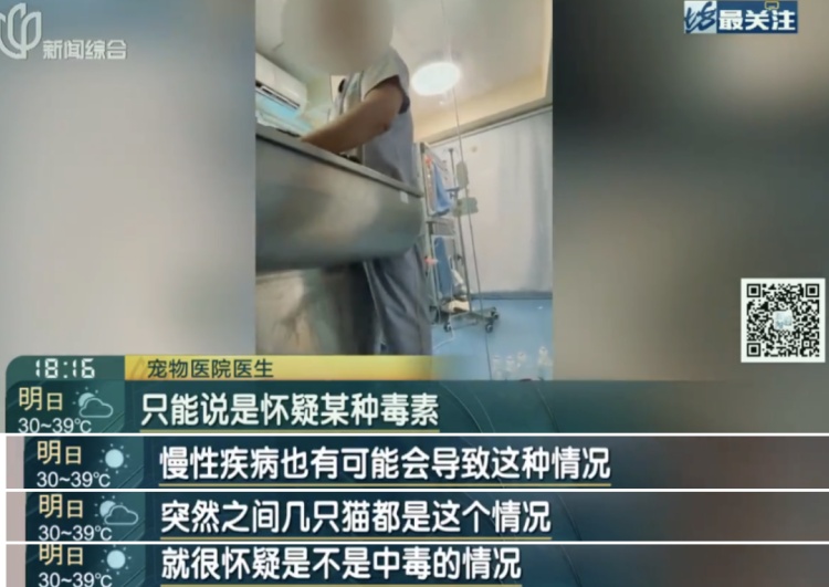 上海一小区20多只猫狗离奇死亡疑似有人楼下投毒？警方已介入