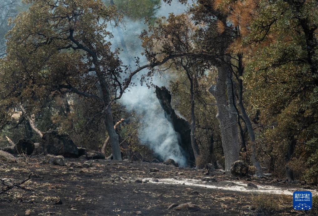 美国加州:山火过后 美国加州:山火过后