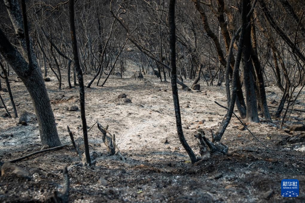 美国加州:山火过后 美国加州:山火过后