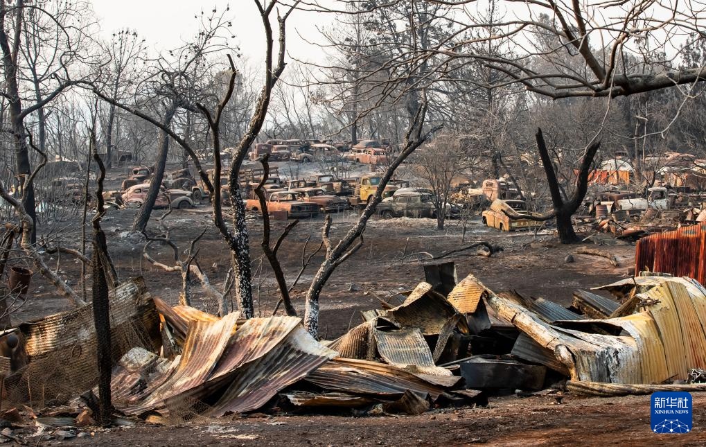 美国加州:山火过后 美国加州:山火过后